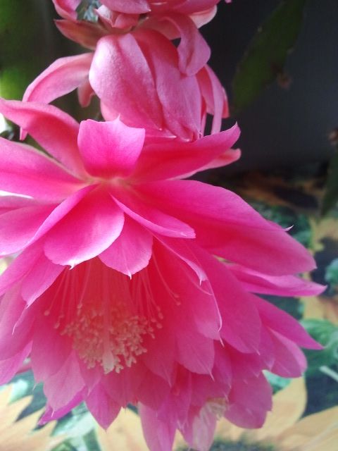 2014-06-24 09.34.56.jpg